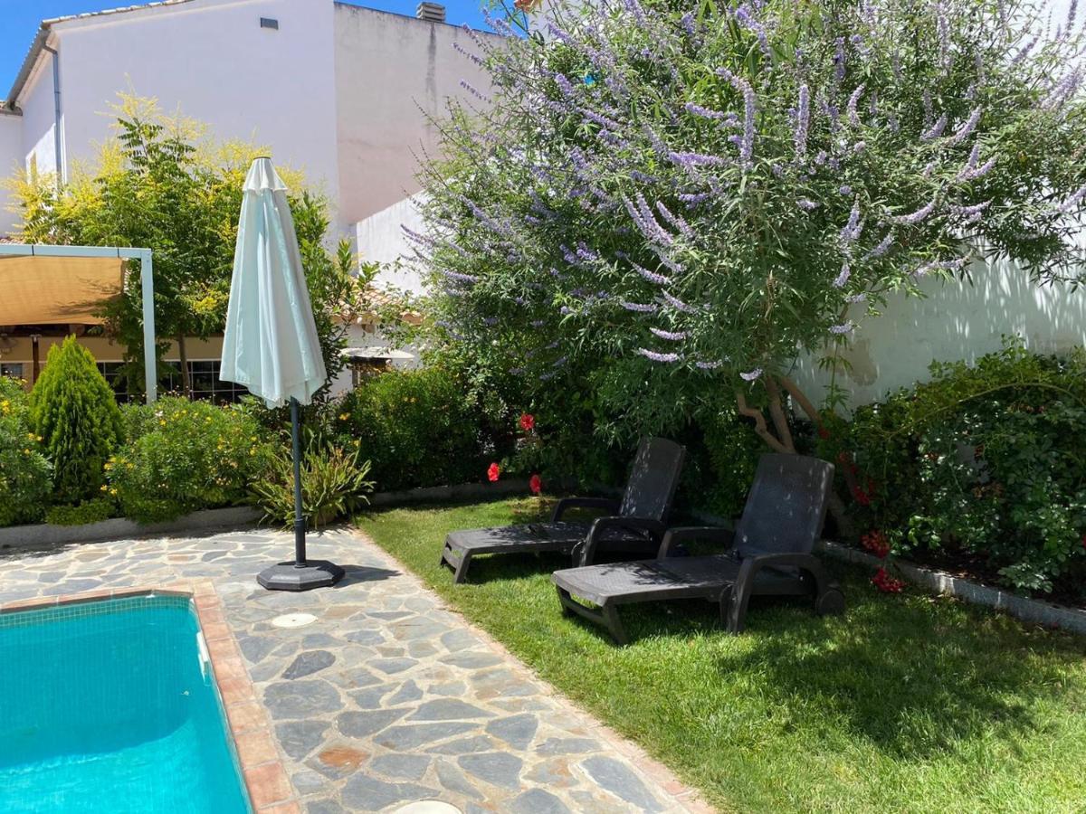 Entreolivos El Pedroso