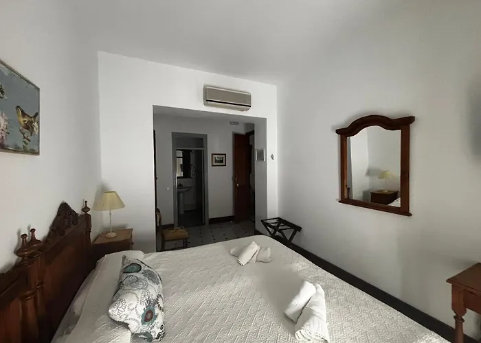 Hotel Entreolivos